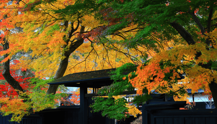 秋田県の紅葉